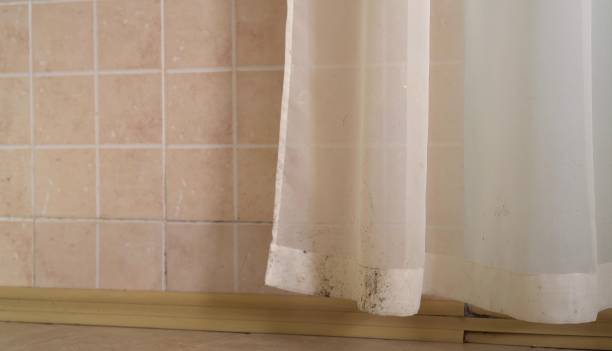 Best Biohazard Mold Removal  in Spring Valley, NV