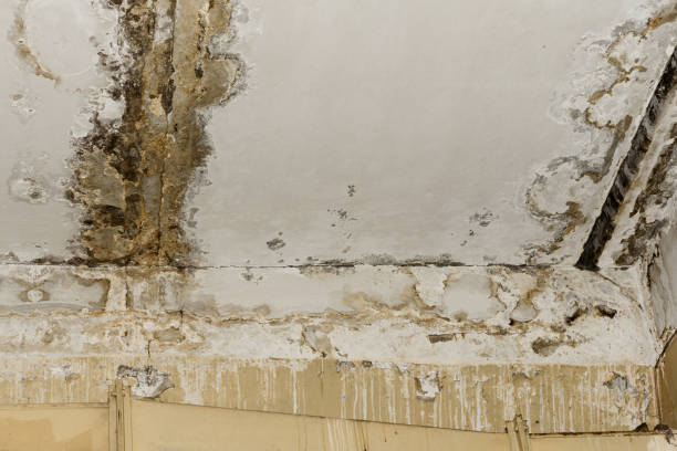 Best Indoor Air Quality Assessment  in Spring Valley, NV