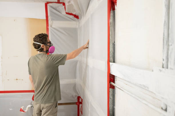 Best Airborne Mold Testing  in Spring Valley, NV