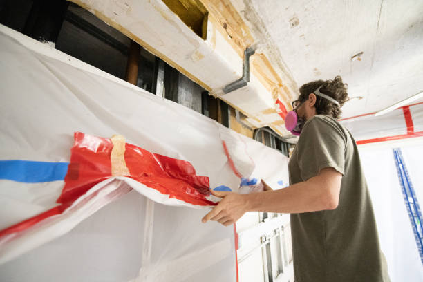 Best Mold Damage Restoration  in Spring Valley, NV
