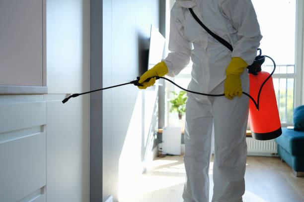 Best Residential Mold Inspection & Testing  in Spring Valley, NV