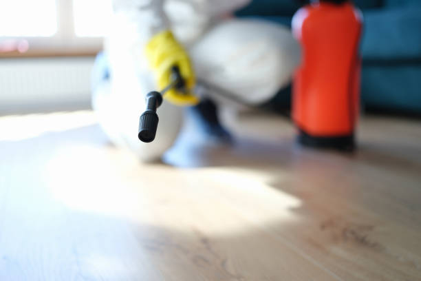 Best Commercial Mold Inspection  in Spring Valley, NV