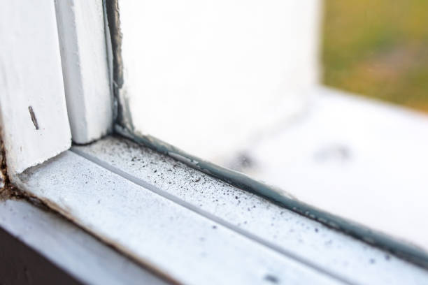 Best Real Estate Mold Inspection  in Spring Valley, NV