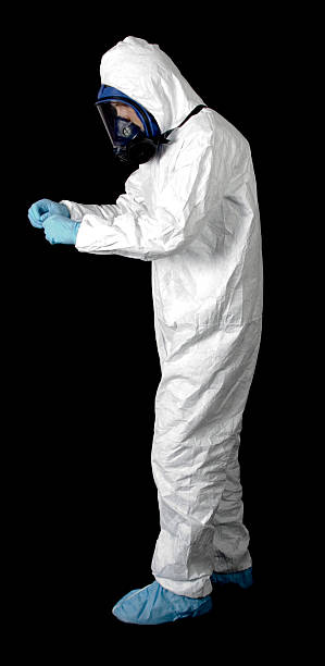 Best Basement Mold Removal  in Spring Valley, NV