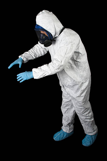 Best Asbestos and Lead Testing During Mold Inspection  in Spring Valley, NV