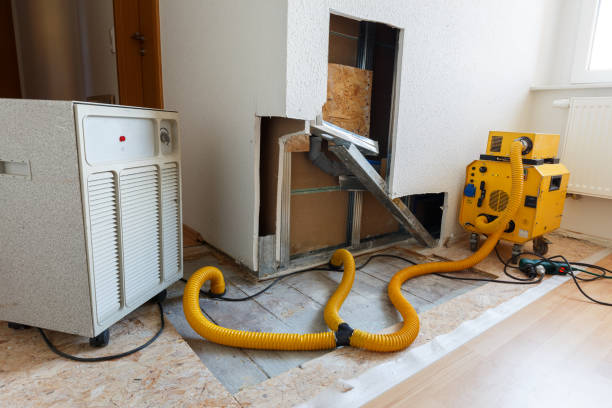 Best Emergency Mold Remediation  in Spring Valley, NV