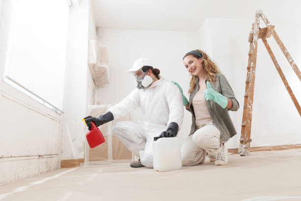 Best Mold Removal for HVAC Installations  in Spring Valley, NV